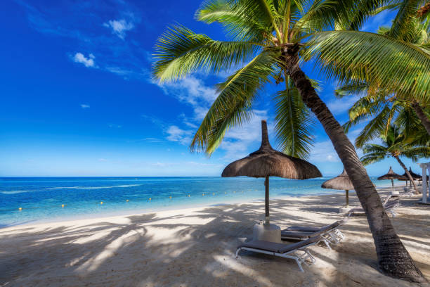 istock Beautiful tropical beach in paradise island 1390710551