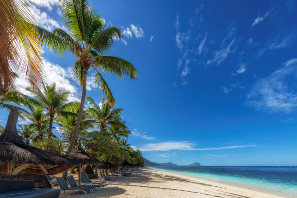 istock Beautiful tropical beach in paradise island 1390711010
