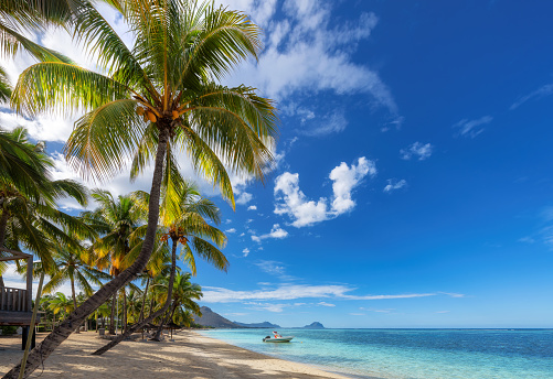 Paradise beach resort. Palm trees in tropical beach and straw umbrellas and blue sea in Mauritius island. Summer vacation and tropical beach concept.