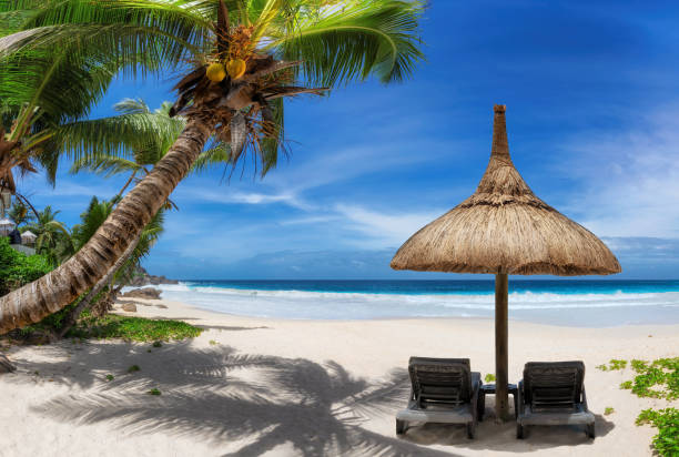 istock Paradise tropical beach 1390711860