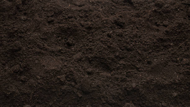 istock Black land for plant background. Top view. 1390712127