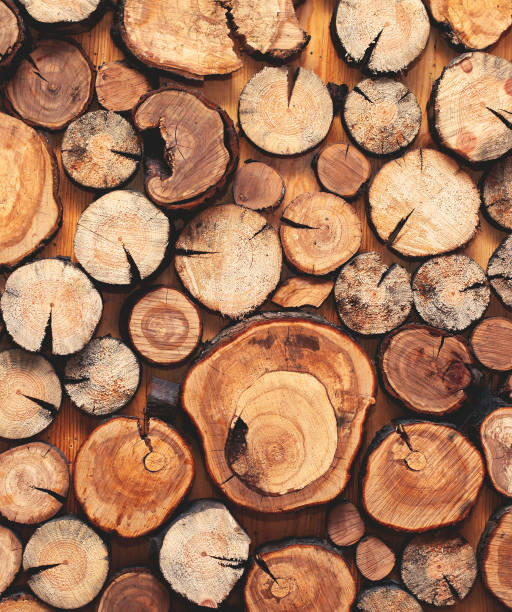 istock Creative art background, wall with different stacked a wooden sawn logs as home decor 1390712970