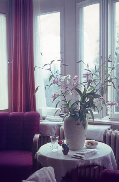 Pothos and table lamp on windowsill