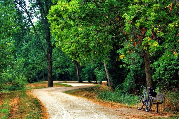 Plains River Trtail Lush green trees in summer alomng the Des Plaines River Trail near Gurnee, IL. illinois nature stock pictures, royalty-free photos & images