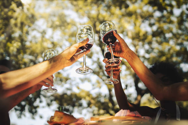 ピクニックで田舎で赤ワイングラスを手に手を挙げて友情を祝う若い友人のグループ - drink alcohol summer celebration ストックフォトと画像