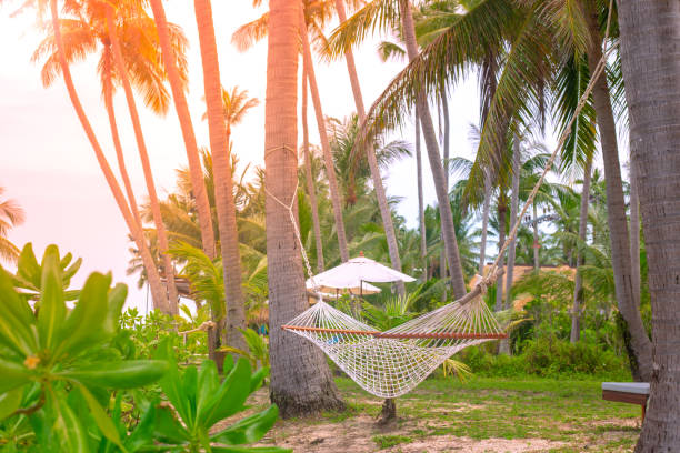 istock Wicker hammock on palm trees on the lawn, among tropical greenery. Rest and relaxation. Vacation in Thailand 1390717974