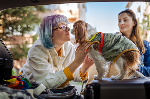 Close up of a young family and their dog packing up for a road trip