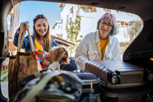 primo piano di una giovane famiglia e il loro cane che fanno le valigie per un viaggio su strada - dog car travel pets foto e immagini stock