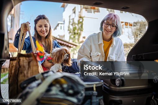 istock Close up of a young family and their dog packing up for a road trip 1390718085