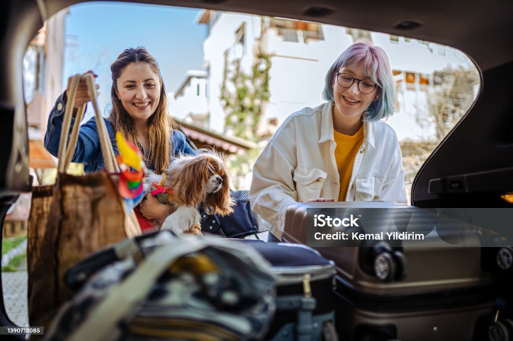 Close up of a young family and their dog packing up for a road trip Car Stock Photo