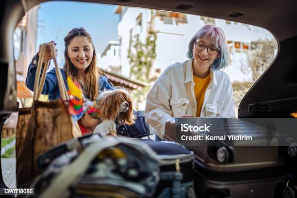 Close Up Of A Young Family And Their Dog Packing Up For A Road Trip Stock Photo - Download Image Now