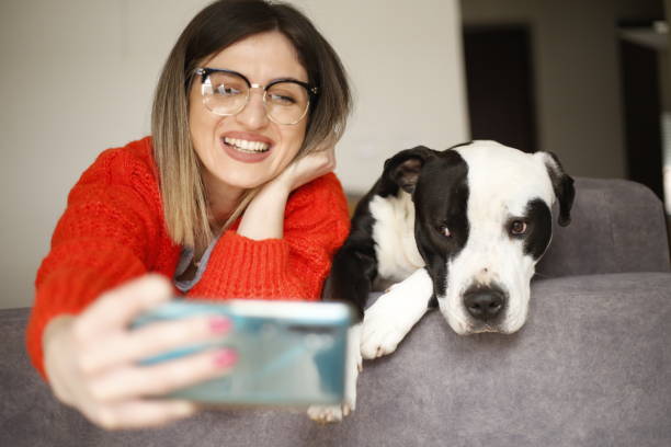 istock Women work at home pet sitter 1390723668