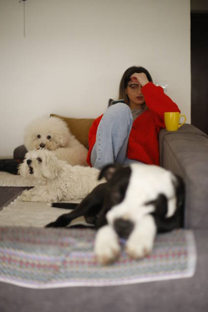 istock Women work at home pet sitter 1390723729