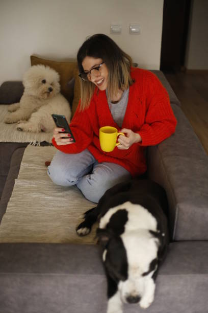 istock Women work at home pet sitter 1390723742