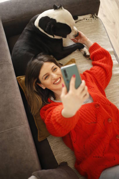 istock Women work at home pet sitter 1390723790
