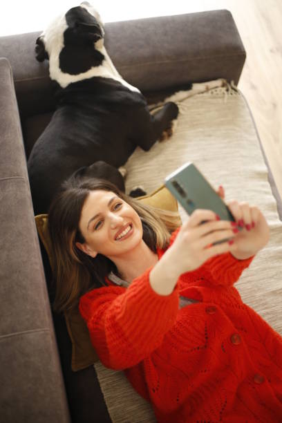 istock Women work at home pet sitter 1390723800