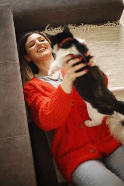 istock Women work at home pet sitter 1390723837