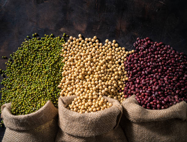 Assorted dried soybeans legumes in burlap sack: white soybean, mung bean and adzuki bean Assorted dried soybeans soy beans legumes in burlap sack bag as: white soybean, mung bean and adzuki bean on rustic dark wooden background leaving copy space red mung bean stock pictures, royalty-free photos & images