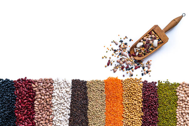 istock Assorted dried legumes in a row lines isolated on white copy space 1390725008