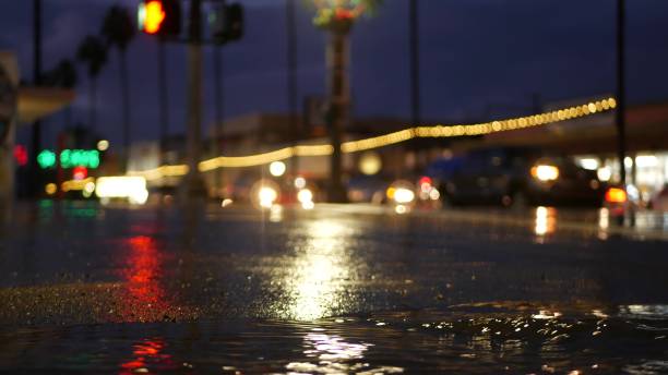 istock Lights reflection on road in rainy weather. Palm trees and rainfall, California. 1390725593