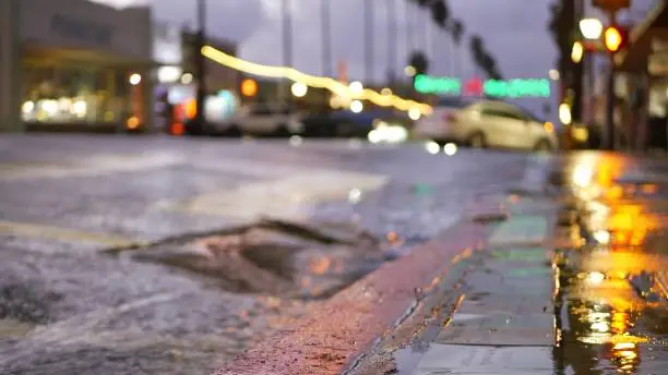 Photo of Lights reflection on road in rainy weather. Palm trees and rainfall, California.