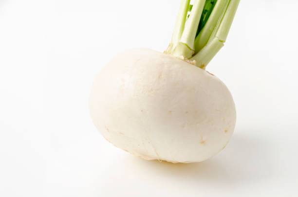 istock Japanese White Turnip on white background 1390731780