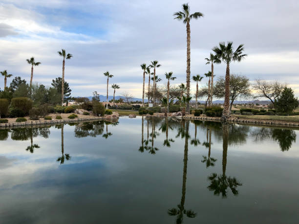 istock Palm Trees and Water in the Desert 1390734162