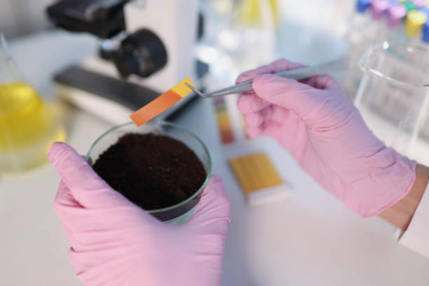 istock Researcher hold small glass flask with soil, performing ph test strip 1390738806