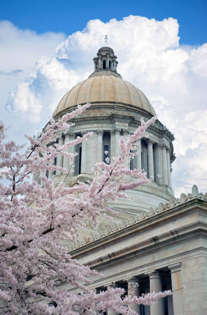 istock Washington State Capital Building, Olympia, Washington. 1390752519