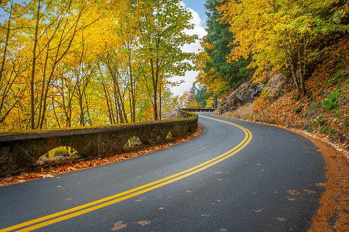A fall scene on the Historic Columbia River Highway, Oregon.