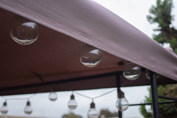 istock Some Bulbs Turned Off in The Garden 1390763779