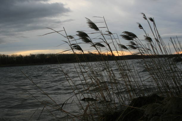 istock Sunset behind the lake 1390765887