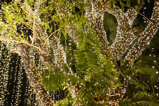 istock Blur Image Decorative outdoor string lights hanging on tree in the garden at night time 1390776620