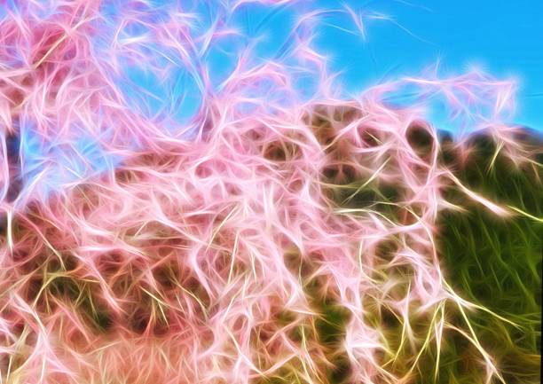 Illustration of abstract cherry blossoms and blue sky