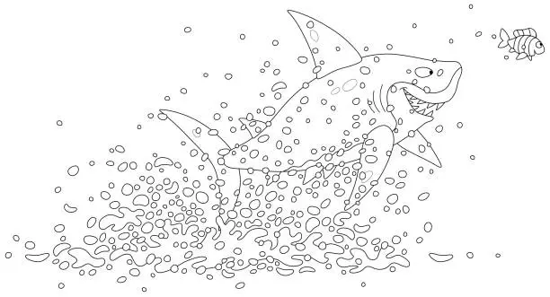 Vector illustration of Great white shark and a small fish in a jump