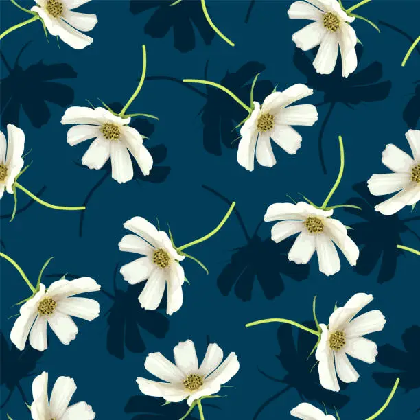 Vector illustration of Seamless pattern of white cosmea flowers. Vector stock illustration eps10.