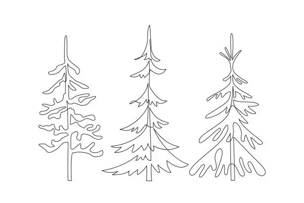 Vector illustration of Abstract spruce tree set isolated on white background.