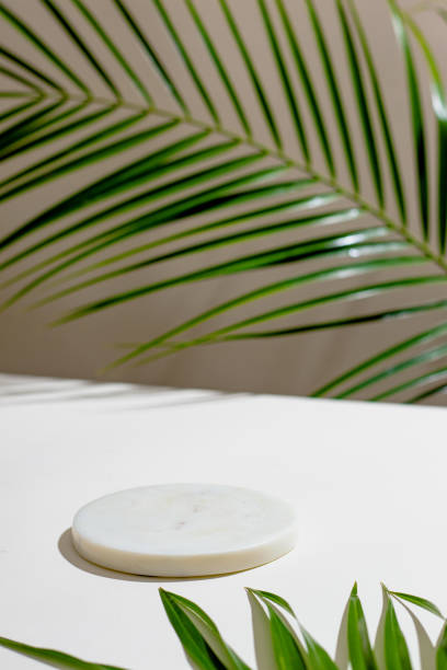 istock Side view green tropical palm leaf and white murble podium. Still life with sunlight and harsh shadow. White empty table and beige wall. Minimal summer concept with palm leaf and shadow. 1390791557