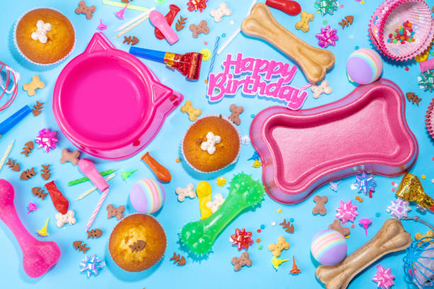 istock Domestic pets happy birthday background 1390791742