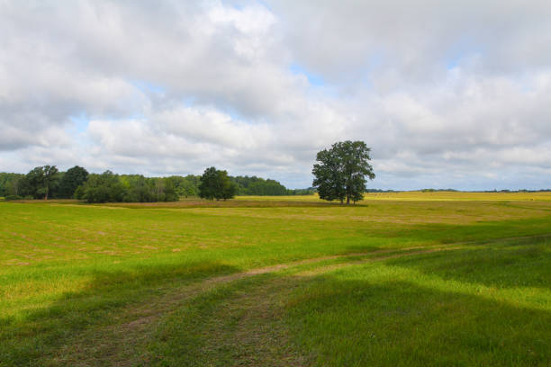 istock Landscape of fields and meadows in Europe. 1390794079