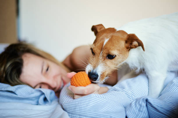 istock Woman sleeping in bed and play with her dog 1390794374