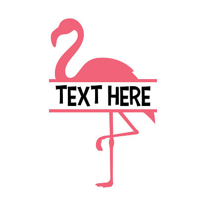 Vector Flamingo Name Frame on White Background