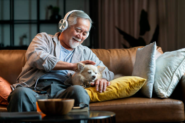 aconchegante homem idoso asiático idoso sentar-se relaxe enquanto usa fone de ouvido ouvir música pacífica e cantar junto melodia com abraço seu melhor amigo chihuahua cão que também velho muito juntos em sofá em casa.casa doce lar com conceito de a - senior couple audio - fotografias e filmes do acervo