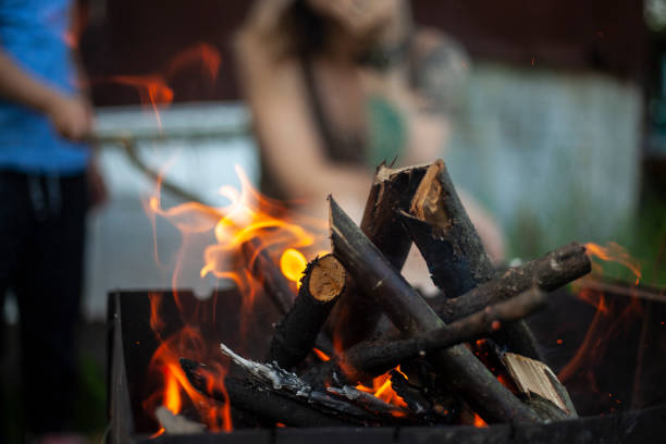 istock Dry branches burn. Picnic in nature. Coal preparation. 1390796588