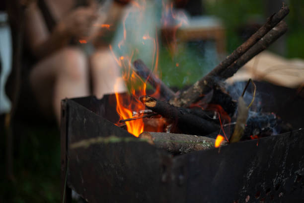 istock Dry branches burn. Picnic in nature. Coal preparation. 1390796592