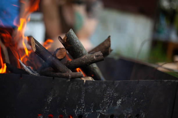 istock Dry branches burn. Picnic in nature. Coal preparation. 1390796597