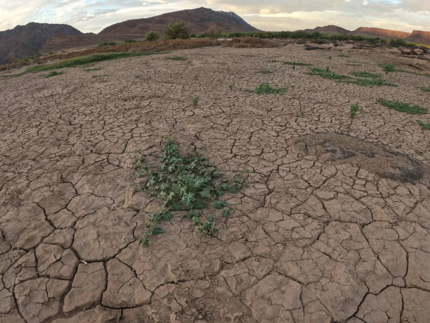 istock Orange River Cracked Earth and Plants 1390797517