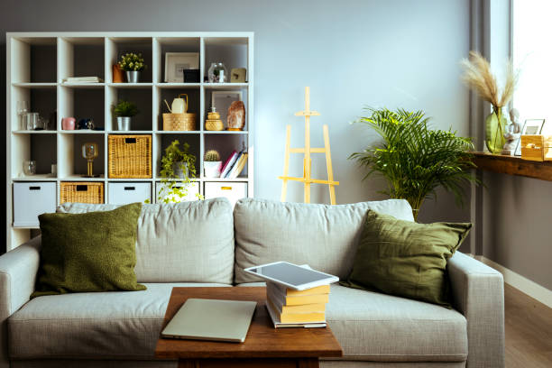 Modern living room interior with sofa