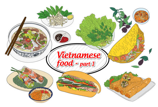 Set of popular Vietnamese foods - Pho (beef rice noodles), Banh mi (Vietnamese sandwich), Banh xeo (Vietnamese pancake), Cha gio (spring rolls), Goi cuon (summer rolls) Set of popular Vietnamese foods - Pho (beef rice noodles), Bread (Vietnamese sandwich), Pancake (Vietnamese pancake), Spring rolls, Salad rolls (summer rolls) vietnamese culture stock illustrations