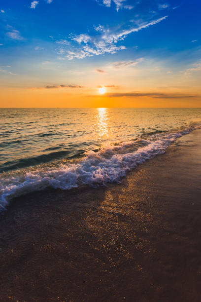 istock Beautiful Landscape Ocean Summer sunset Natural background Vertical 1390801543